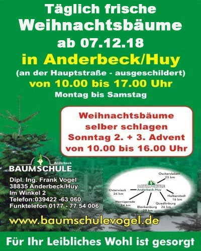 Weihnachtsbaum Selber Schlagen Im Harz